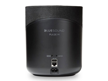 Bluesound PULSE M