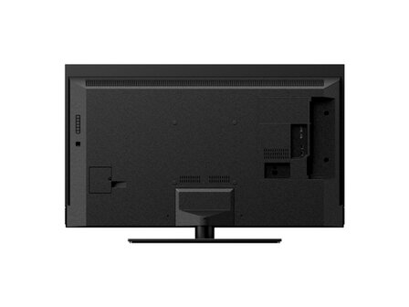 Panasonic TX-42LZW984 (OLED TV)