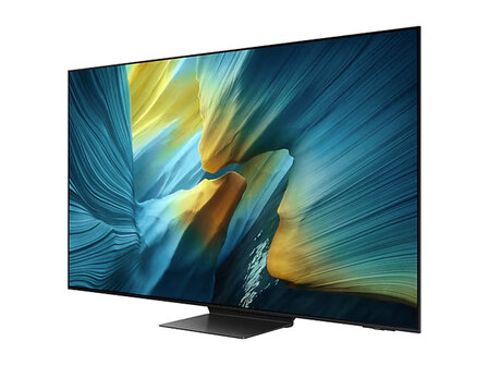 Samsung QE55S95F (OLED TV)