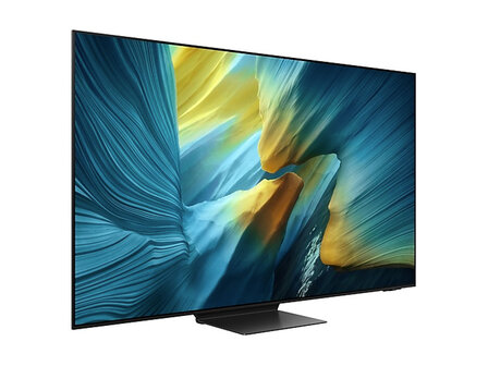 Samsung QE55S95F (OLED TV)