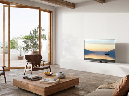 Panasonic TV-48Z90AE6 (OLED TV)