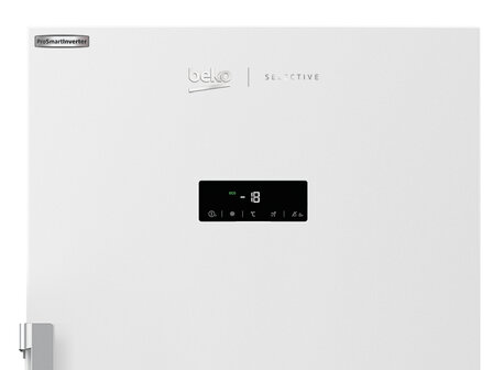 Beko FNE290E41N
