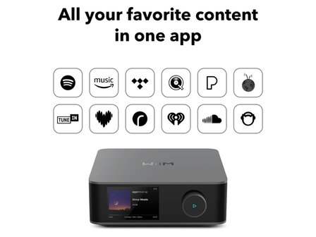 WiiM Amp Ultra (Space Grey)