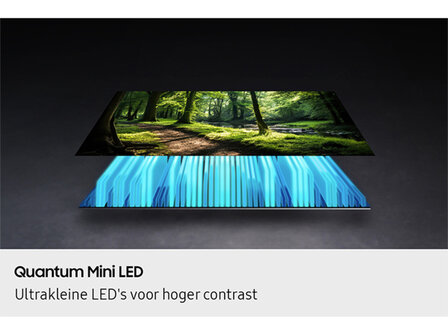 Samsung QE75QN77F (NeoQLED TV)