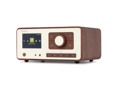 Audizio Dozza