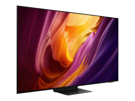 Samsung QE65S95HFTXXN (OLED TV)