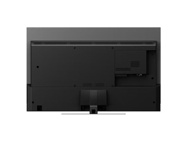 Panasonic TV-48Z90AE6 (OLED TV)