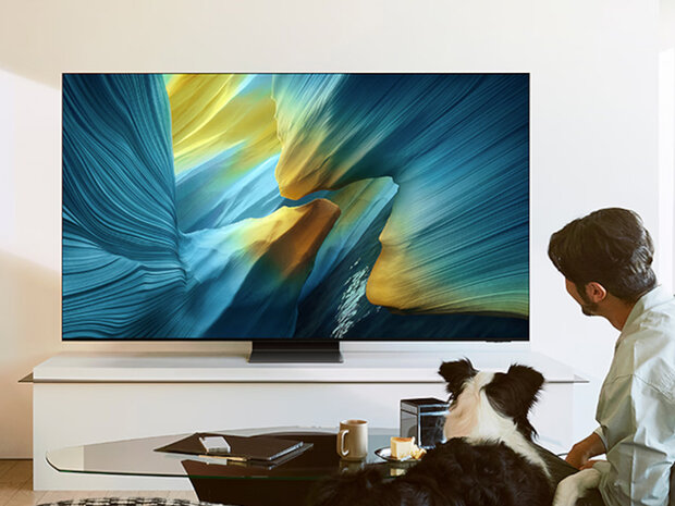 Samsung QE65S95F (OLED TV) (2025)