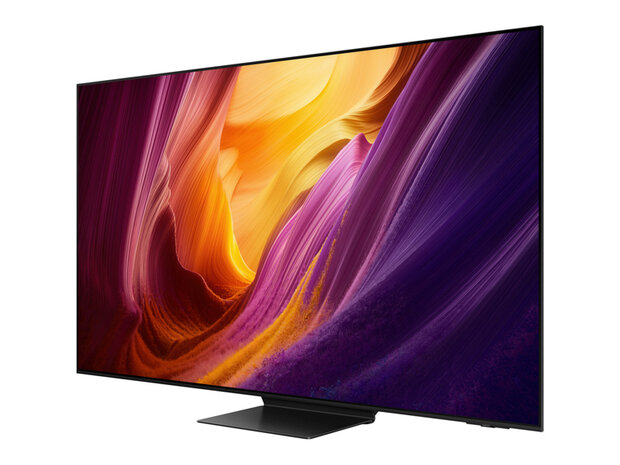 Samsung QE65S95HFTXXN (OLED TV)