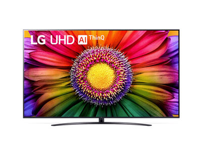 LG 43UR81006LJ (LED TV)